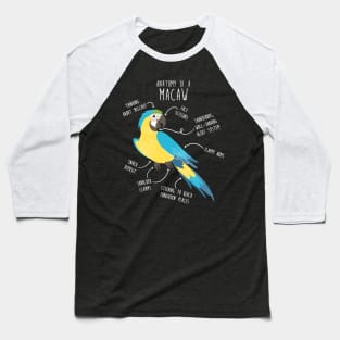 Blue and Gold Macaw Parrot Anatomy Baseball T-Shirt